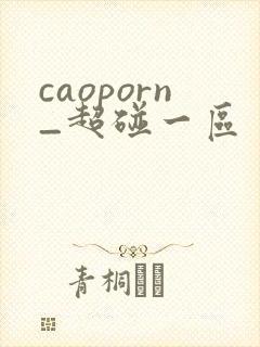 caoporn_超碰一区