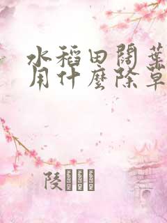 水稻田阔叶杂草用什么除草剂