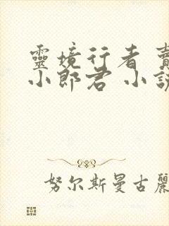 灵境行者 卖报小郎君 小说