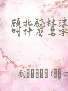 顾北骁林琅小说叫什么名字