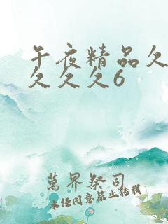 午夜精品久久久久久久6