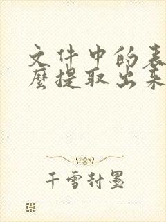 文件中的表格怎么提取出来