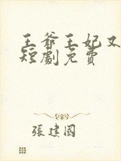 王爷王妃又演上短剧免费