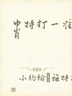 中特打一准确生肖