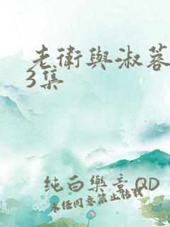 老卫与淑蓉第13集
