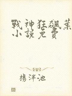 战神狂飙叶无缺小说免费