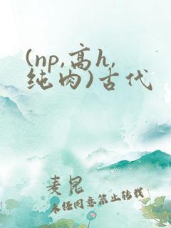 (np,高h,纯肉)古代