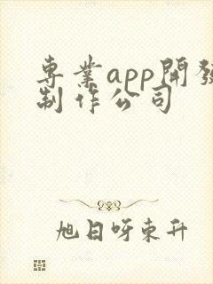专业app开发制作公司
