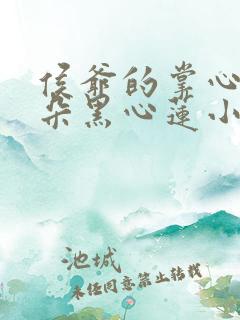 侯爷的掌心娇是朵黑心莲小说txt下载