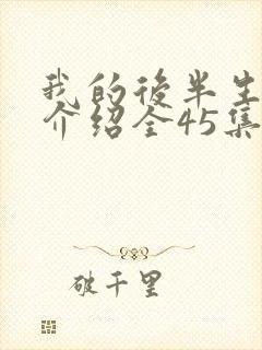 我的后半生剧情介绍全45集