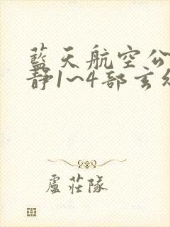 蓝天航空公司王静1~4部玄幻小说