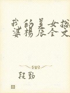 我的美女总裁老婆杨辰全文下载小说