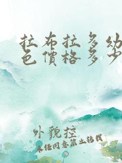 拉布拉多幼犬黑色价格多少钱一只