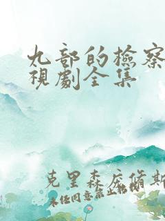 九部的检察官电视剧全集
