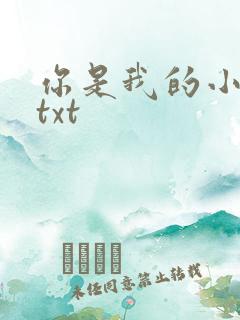 你是我的小确幸txt