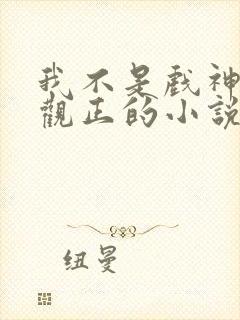 我不是戏神是三观正的小说吗