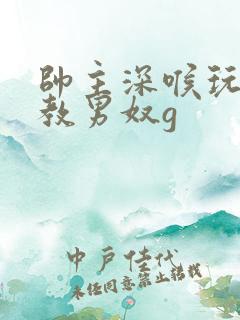 帅主深喉玩奴调教男奴g