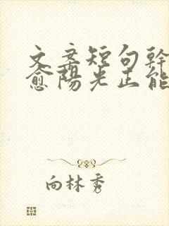 文案短句干净治愈阳光正能量句子