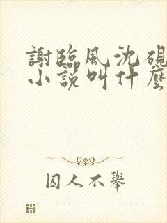 谢临风沈砚卿的小说叫什么名字