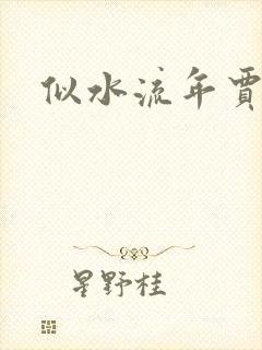 似水流年贾二虎