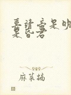 嘉靖帝是明君还是昏君