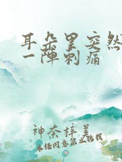 耳朵里突然一阵一阵刺痛