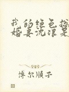 我的绝色总裁未婚妻沈浪是什么身份