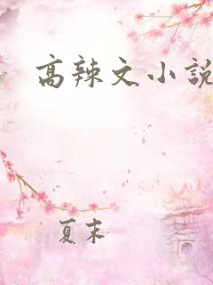 高辣文小说网站