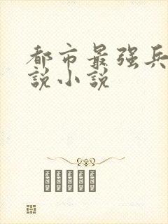 都市最强兵王小说小说