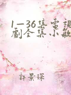 1—36集电视剧全集小敏家