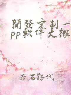 开发定制一个app软件大概多少钱