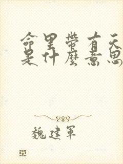 命里带有天文星是什么意思