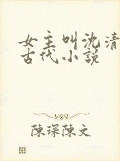 女主叫沈清欢的古代小说