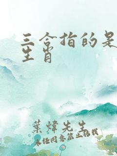 三合指的是什么生肖