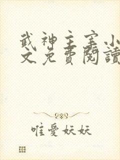武神主宰小说全文免费阅读无弹窗
