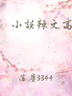 小说辣文高h