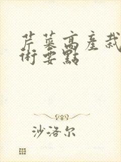 芹菜高产栽培技术要点