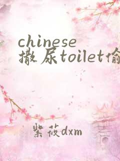 chinese撒尿toilet偷拍熟女