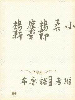 杨尘杨柔小说最新章节