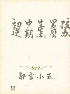 初中生男孩子叛逆期怎么办