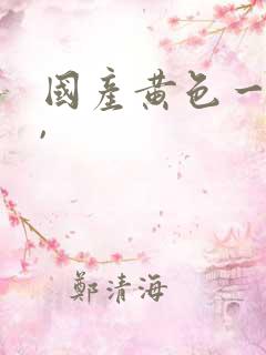 国产黄色一级片,