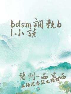 bdsm调教bl小说