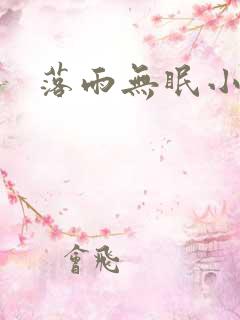 落雨无眠小说