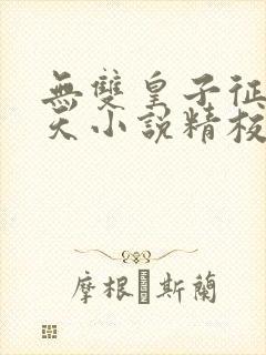 无双皇子征战诸天小说精校