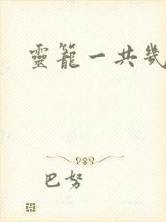 灵笼一共几集
