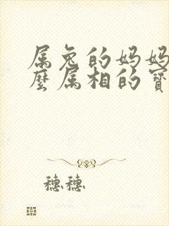 属兔的妈妈生什么属相的宝宝好