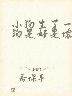小狗生了一只小狗是好是坏