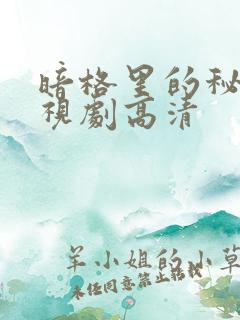 暗格里的秘密电视剧高清