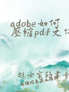 adobe如何压缩pdf文件