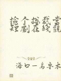 捡个总裁当老公短剧在线观看